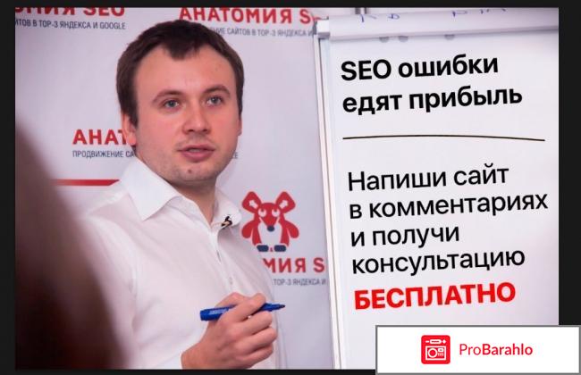 Анатомия сео 