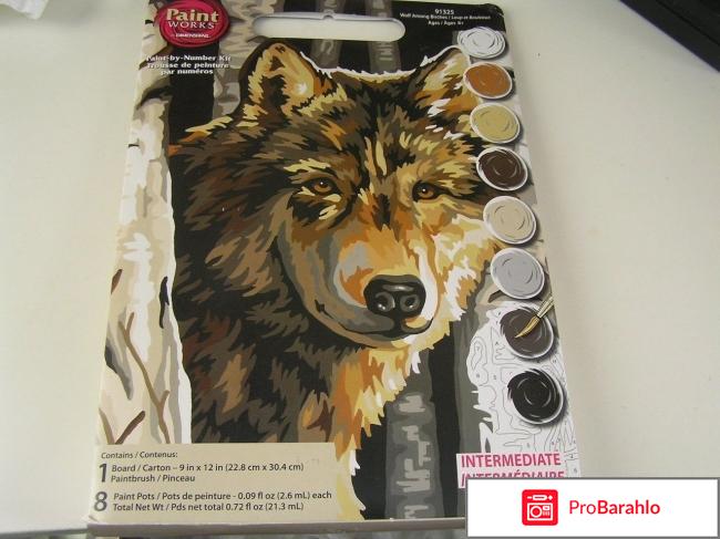 Наборы для раскрашивания по номерам 