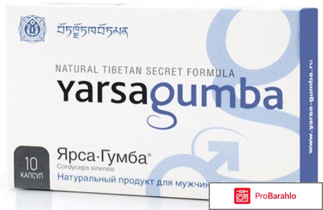 Препарат ярсагумба отрицательные отзывы