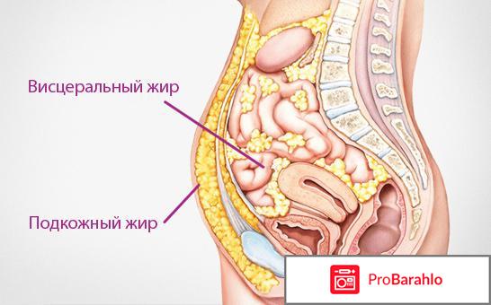 Как убрать висцеральный жир? 