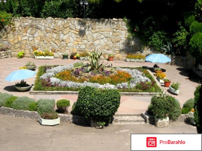 Отдых в шепси реальные отзывы