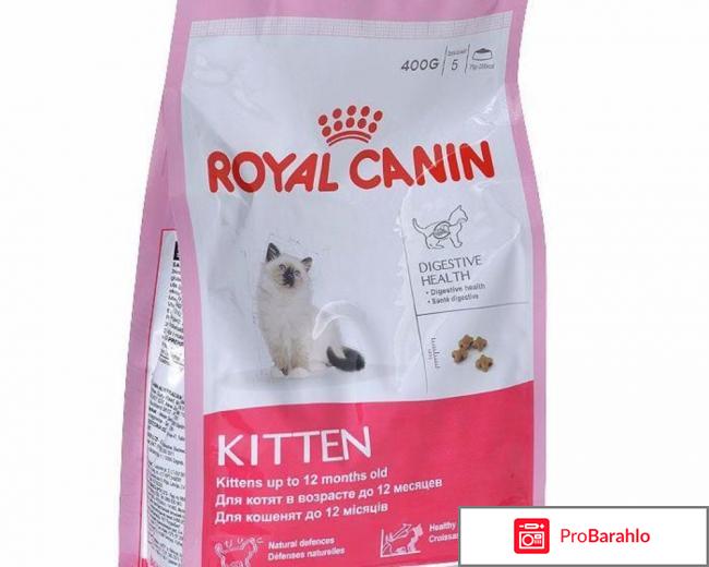 Royal canin kitten 