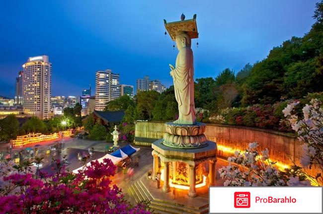 Отзывы туристов сеул фото