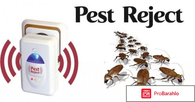 Отзывы покупателей pest reject отрицательные отзывы