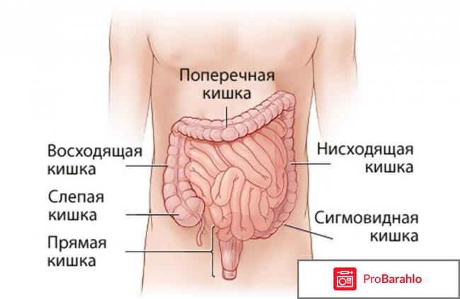 Диагностика заболеваний кишечника 