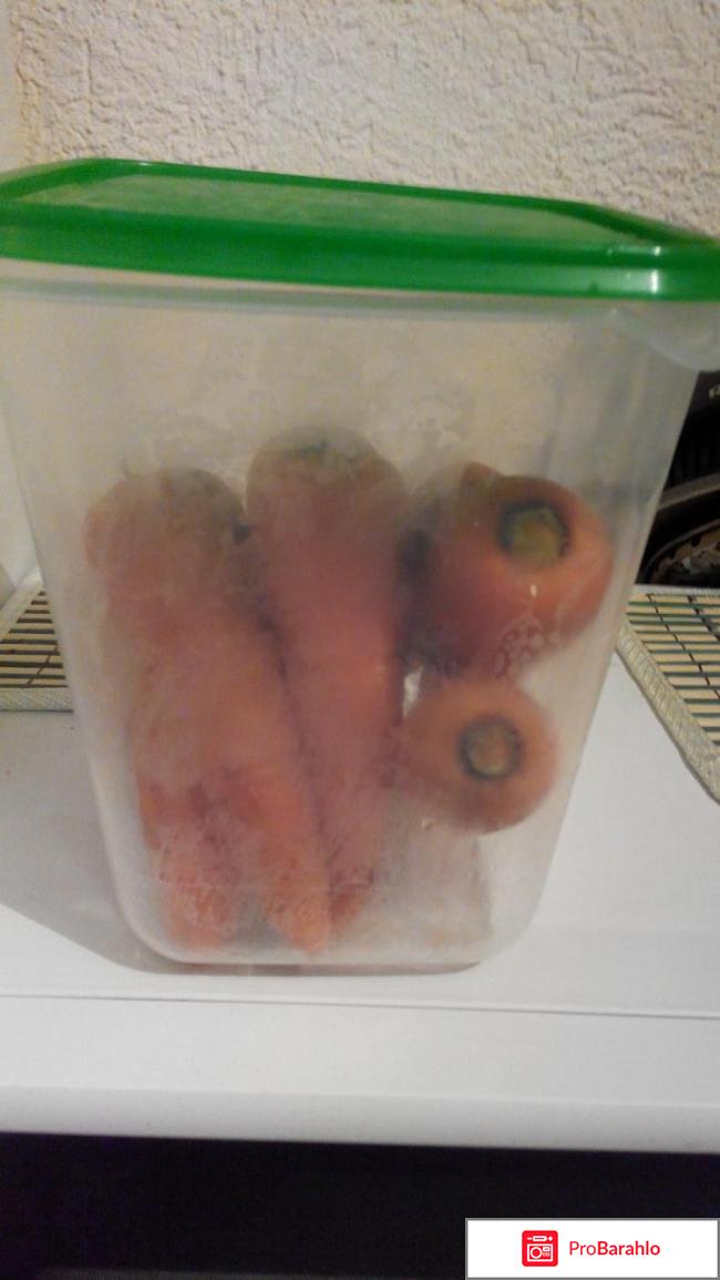 Прута обман