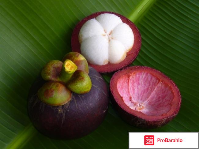 Тропический фрукт мангустин: состав, польза, как едят 