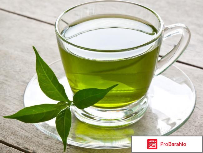 Канкура чай для похудения отрицательные отзывы