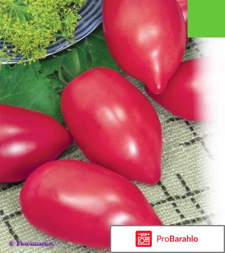 Томат фламинго отзывы фото отрицательные отзывы