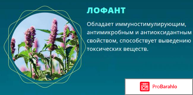 Сангридок спрей от грибка - развод или нет? фото