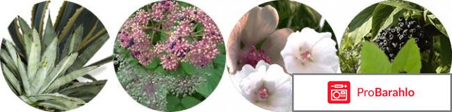 Restox реальные отзывы