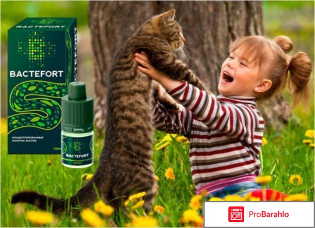 Средство bactefort реальные отзывы
