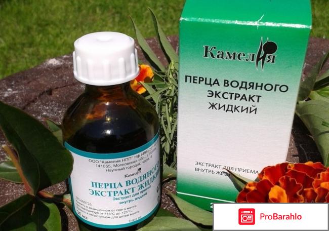 Настойка водяного перца отзывы обман