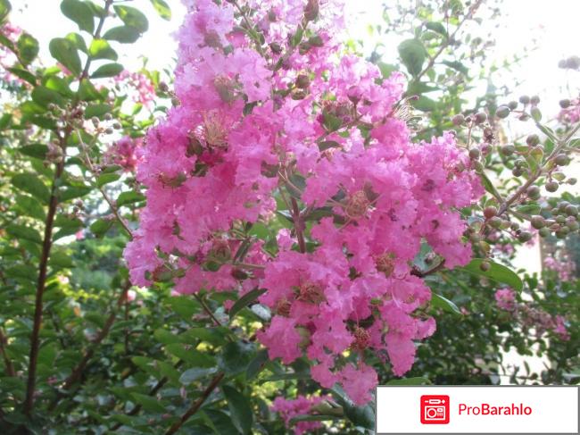 Санаторий МО РФ 