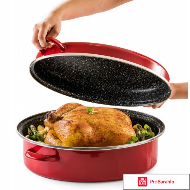 Гусятница Delimano «Сила камня» 2 в 1 