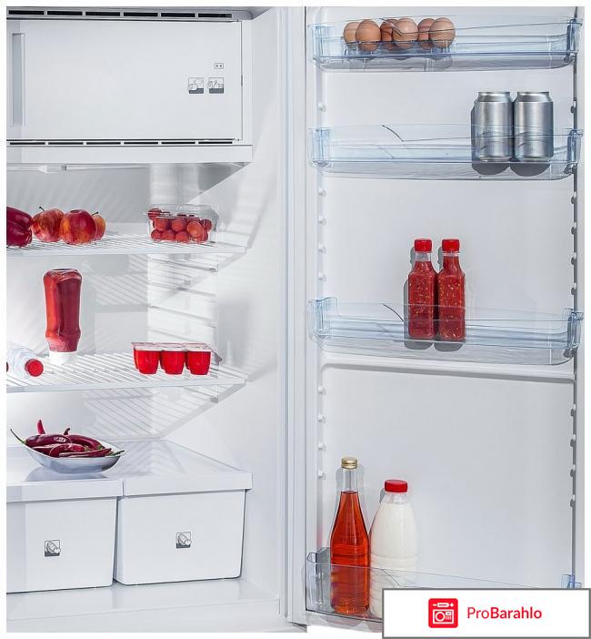 Однокамерный холодильник Позис СВИЯГА 404-1 рубиновый обман