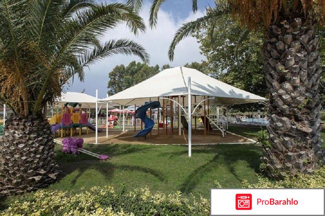 Euphoria palm beach resort 5 