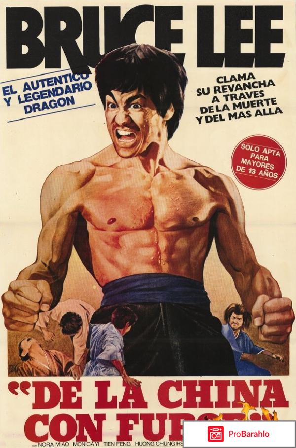 Кулак ярости 