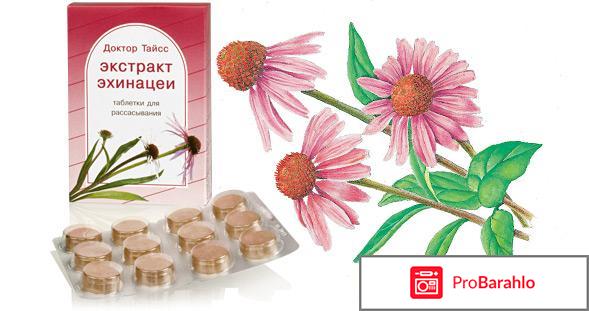 Экстракт эхинацеи таблетки 