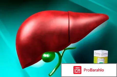 Livpro (Ливпро) для печени 
