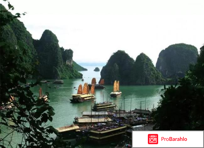 Вьетнам в январе погода отзывы туристов реальные отзывы