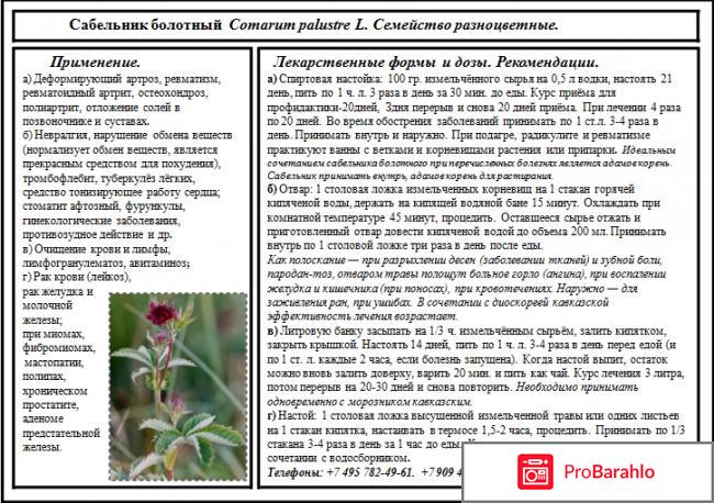 Сабельник настойка для суставов эвалар отзывы 