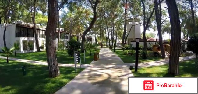 Отзывы otium hotel life 5 обман