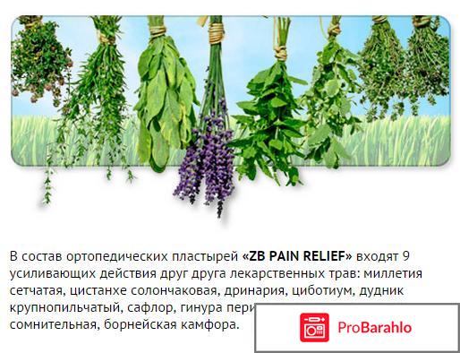 Zb pain relief обман или правда? реальные отзывы
