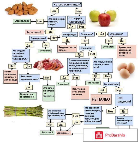 Палео диета отзывы отрицательные отзывы