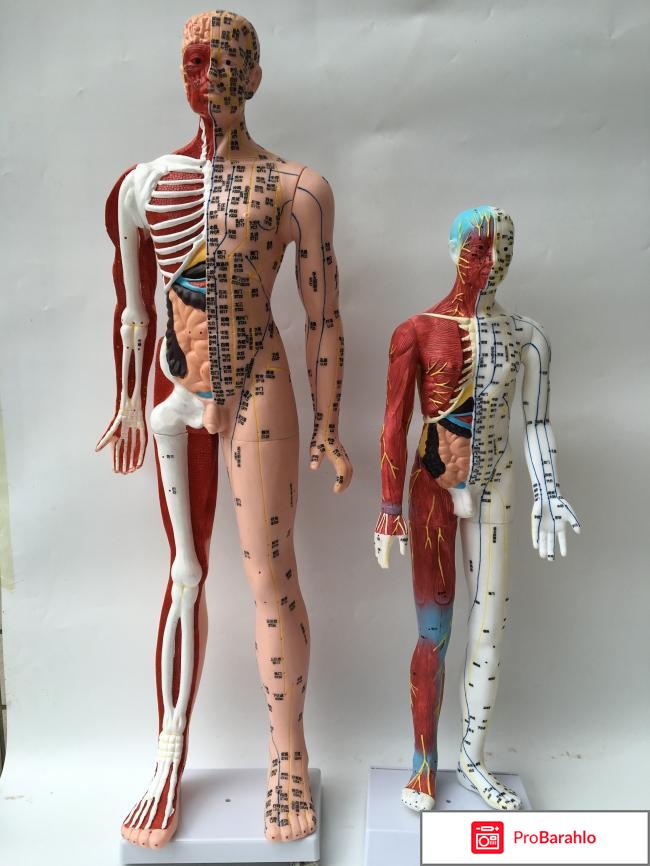 Аппарат меридиан