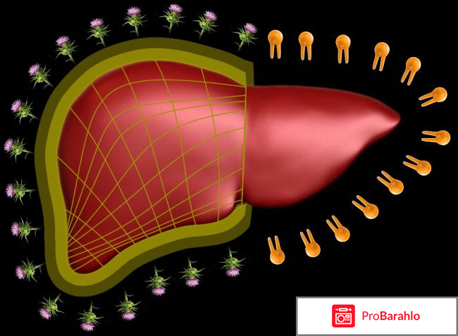 Карсил форте инструкция по применению цена отзывы отрицательные отзывы