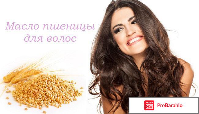 Масло пшеницы для волос отзывы 
