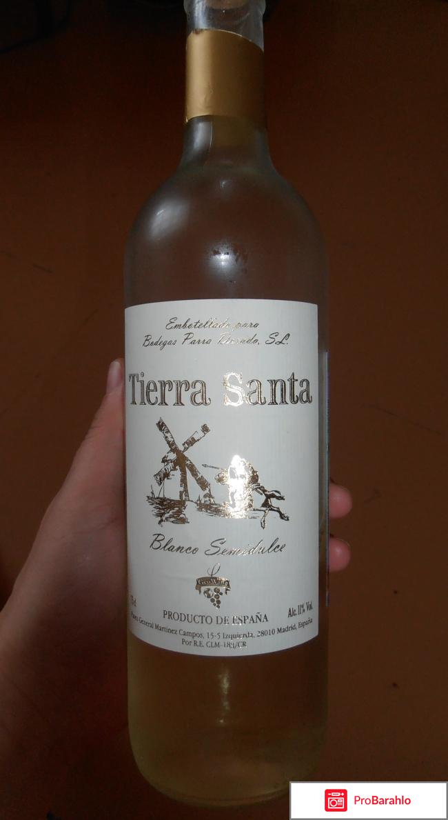 Вино белое полусладкое Terra Santa 