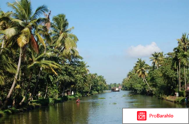 Индия в декабре отзывы туристов реальные отзывы