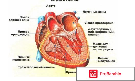 Колет в области сердца что это может быть отрицательные отзывы
