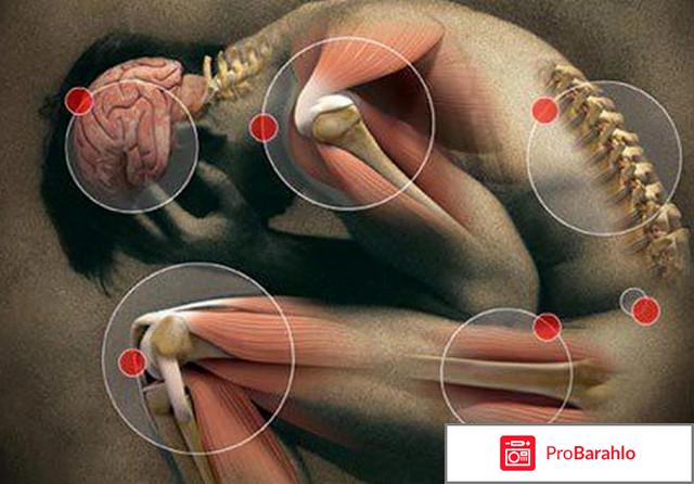Крем Артропант цена в аптеке обман
