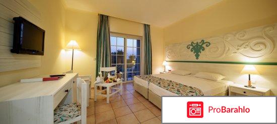 Отзывы euphoria palm beach resort 