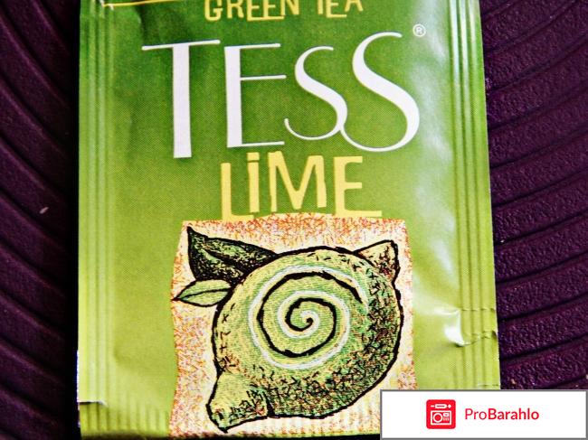 Зелёный чай с цитрусами Tess 
