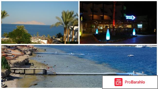 Рейтинг отелей египта отрицательные отзывы