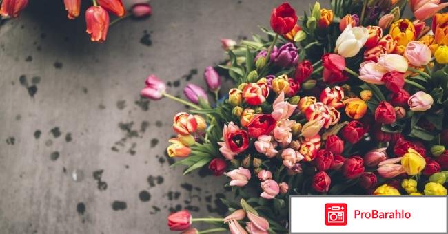 Флорист ру доставка цветов 