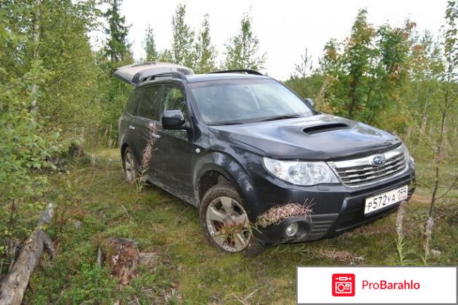 Отзывы subaru forester 