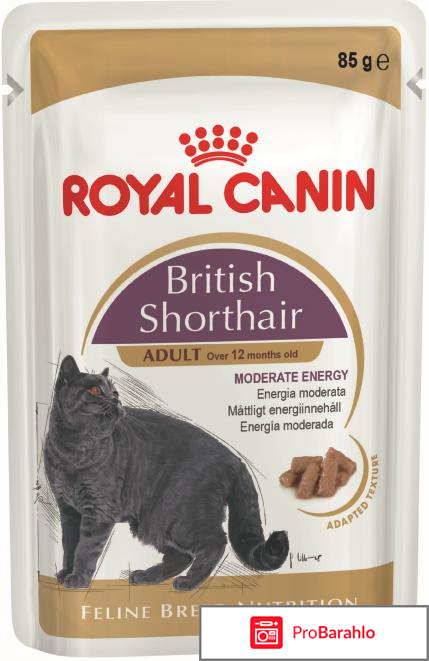 Royal canin для кошек отрицательные отзывы