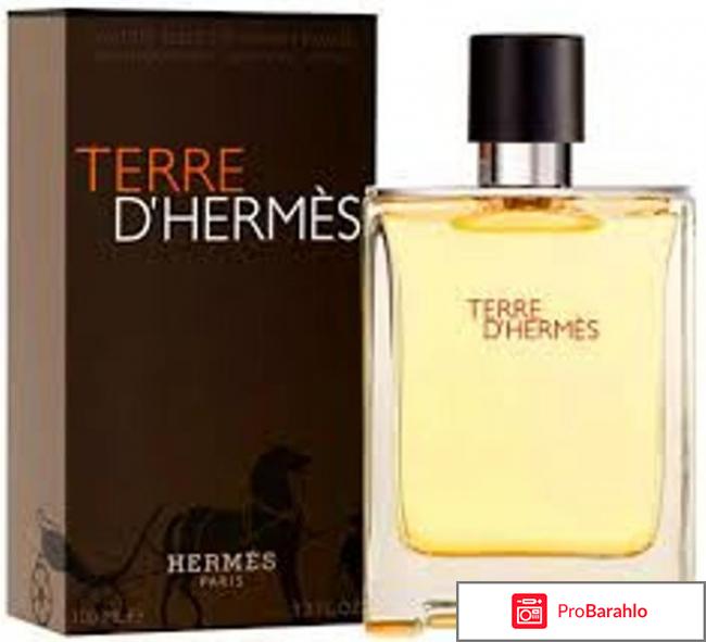 Terre d hermes 