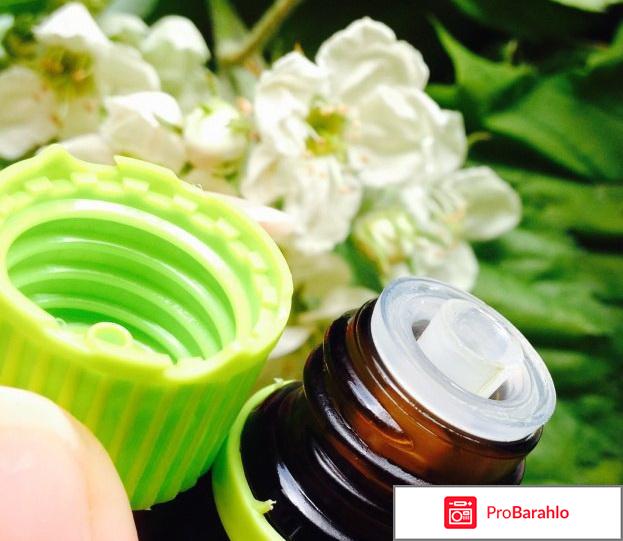 Уролесан капли инструкция по применению цена отзывы обман