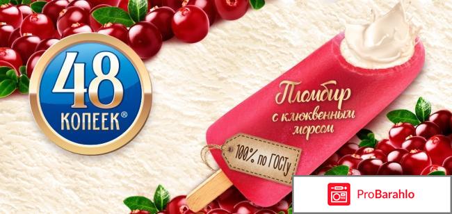 Мороженое 48 копеек пломбир с клюквенным морсом 