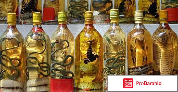 Что привезти из вьетнама отзывы туристов отрицательные отзывы