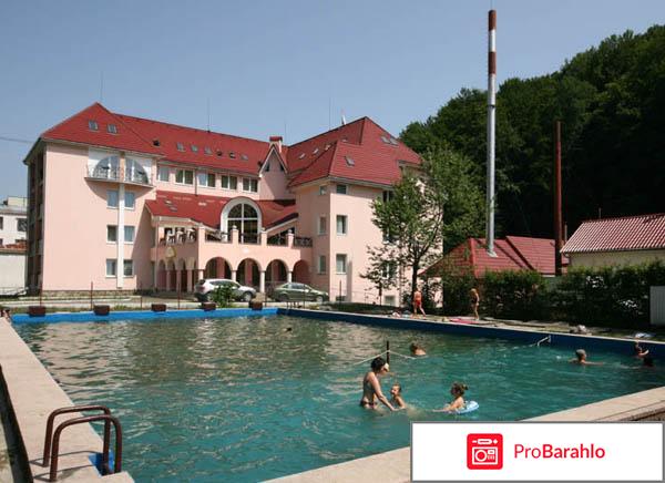 Солнечная поляна пансионат 