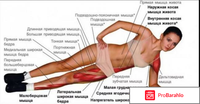 Как правильно делать упражнение «планка» на боку реальные отзывы