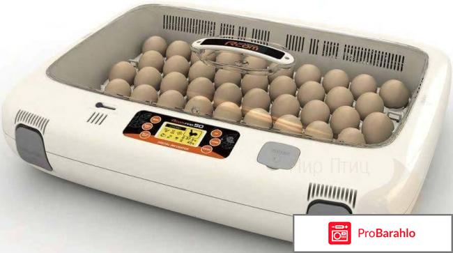 Какой инкубатор лучше купить отзывы отрицательные отзывы