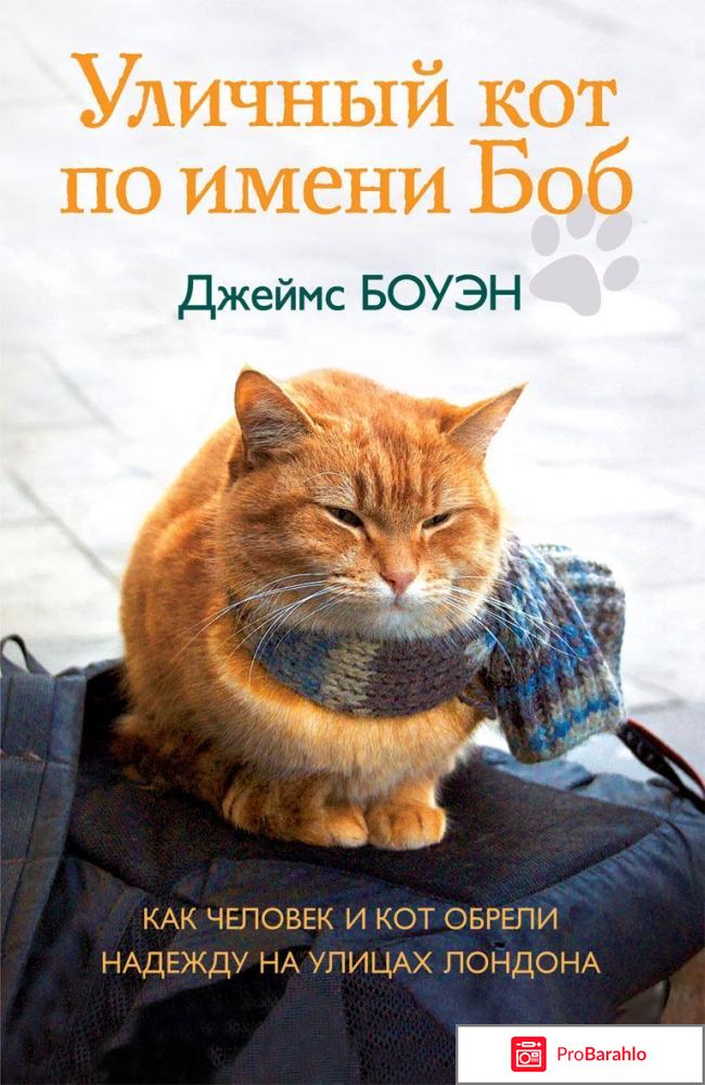 Книга Уличный кот по имени Боб 